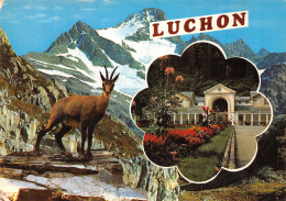 31-LUCHON-N°4198-B/0165 - Luchon