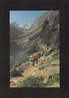 65-LAC DE GAUBE-N°4198-A/0265 - Autres & Non Classés