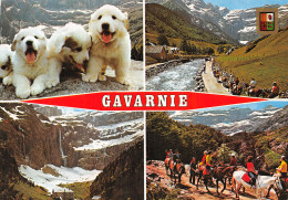 65-GAVARNIE-N°4198-A/0267 - Gavarnie