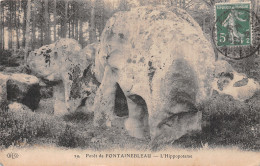 77-FONTAINEBLEAU LA FORET-N°5145-A/0163 - Fontainebleau