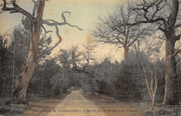 77-FONTAINEBLEAU LA FORET-N°5144-H/0337 - Fontainebleau