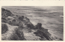 LA COTE BELGE  LES DUNES - Sonstige & Ohne Zuordnung