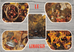 87-LE LIMOUSIN-N°4198-D/0313 - Altri & Non Classificati