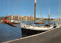 83-HYERES LES PALMIERS-N°4198-D/0255 - Hyeres