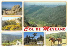 07-COL DE MEYRAND-N°4198-D/0109 - Andere & Zonder Classificatie