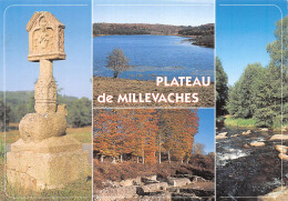 23-PLATEAU DE MILLEVACHES-N°4198-D/0035 - Other & Unclassified