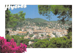 83-HYERES LES PALMIERS-N°4198-B/0297 - Hyeres