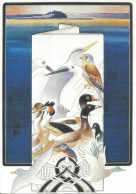 CPM Paravent Aux Oiseaux En Baie De St Brieuc Illustration Original AR ROUÉ - Altri & Non Classificati
