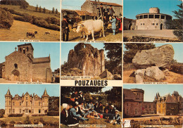 85-POUZAUGUES-N°4199-B/0253 - Pouzauges