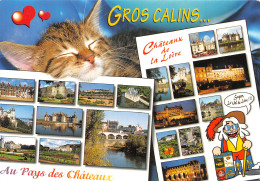 37-CHATEAUX DE LA LOIRE-N°4199-B/0219 - Sonstige & Ohne Zuordnung