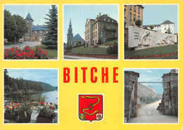 57-BITCHE-N°4199-B/0197 - Bitche