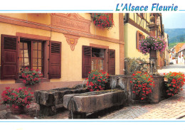 68-ALSACE-N°4199-B/0121 - Altri & Non Classificati