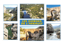 34-GORGES DE L HERAULT-N°4199-B/0119 - Other & Unclassified