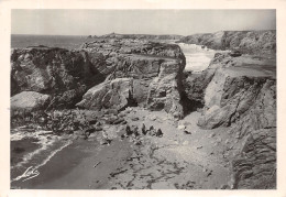 56-QUIBERON-N°4199-A/0361 - Quiberon