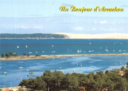 33-BASSIN D ARCACHON-N°4199-D/0133 - Other & Unclassified