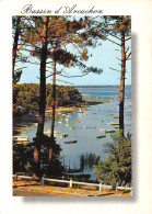33-BASSIN D ARCACHON-N°4199-D/0137 - Other & Unclassified