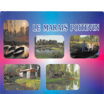 79-MARAIS POITEVIN-N°4199-D/0043 - Otros & Sin Clasificación