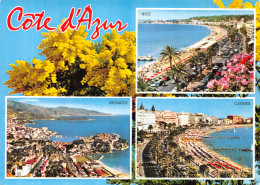 06-COTE D AZUR-N°4199-C/0091 - Sonstige & Ohne Zuordnung