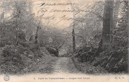 77-FONTAINEBLEAU LA FORET-N°5145-H/0177 - Fontainebleau