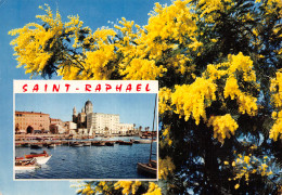 83-SAINT RAPHAEL-N°4200-A/0321 - Saint-Raphaël