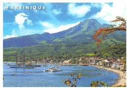 972-MARTINIQUE-N°4200-A/0029 - Other & Unclassified