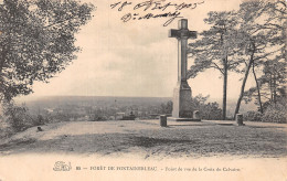 77-FONTAINEBLEAU LA FORET-N°5146-B/0133 - Fontainebleau