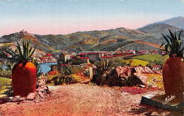 66-COLLIOURE-N°5146-B/0045 - Collioure