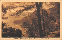 83-ILE DE PORQUEROLLES LA GRANDE CALE-N°5146-A/0355 - Autres & Non Classés