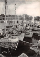 29-CONCARNEAU-N°4200-D/0239 - Concarneau