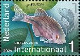 Netherlands Pays-Bas Niederlande 2024 Europa CEPT Undewater Fauna Fish Stamp MNH - 2024
