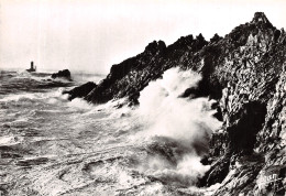 29-POINTE DU RAZ-N°4200-D/0163 - Autres & Non Classés