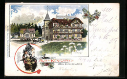 Lithographie Königsfeld /Bad. Schwarzwald, Hotel & Kurhaus Doniswald  - Autres & Non Classés