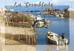 17-LA TREMBLADE-N°4201-B/0255 - La Tremblade