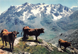 05-COL DU GALIBIER-N°4201-B/0009 - Altri & Non Classificati