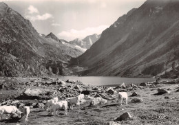 65-LE LAC DE GAUBE-N°4201-A/0307 - Autres & Non Classés