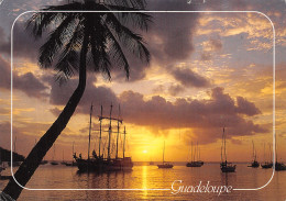 971-GUADELOUPE BATEAUX-N°4201-A/0017 - Andere & Zonder Classificatie