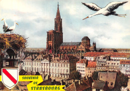 67-STRASBOURG-N°4201-C/0261 - Strasbourg