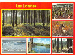 40-LES LANDES-N°4202-B/0271 - Altri & Non Classificati