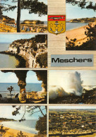 17-MESCHERS-N°4202-A/0351 - Meschers