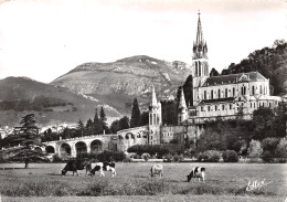 65-LOURDES-N°4202-A/0099 - Lourdes