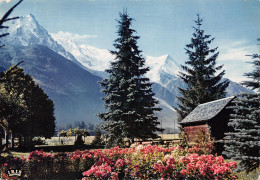 74-CHAMONIX MONT BLANC-N°4202-A/0095 - Chamonix-Mont-Blanc