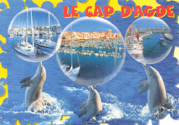 34-LE CAP D AGDE-N°4202-D/0123 - Andere & Zonder Classificatie