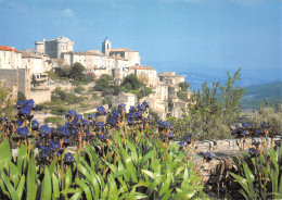 84-GORDES-N°4202-D/0069 - Gordes