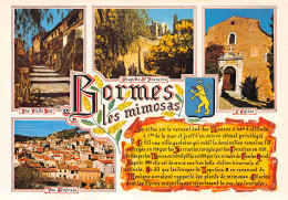 83-BORMES LES MIMOSAS-N°4202-D/0049 - Bormes-les-Mimosas