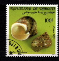 - DJIBOUTI - 1983 - YT N° 573 - Oblitéré -  Coquillage - Dschibuti (1977-...)