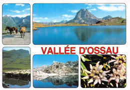 64-VALLEE D OSSAU-N°4202-D/0011 - Other & Unclassified