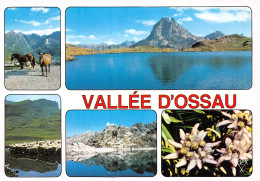 64-VALLEE D OSSAU-N°4202-D/0011 - Altri & Non Classificati