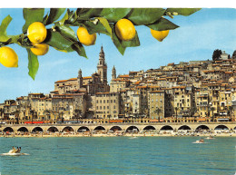 06-MENTON-N°4202-C/0307 - Menton