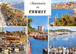 06-CANNES-N°4202-C/0247 - Cannes