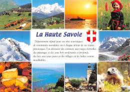 74-LA HAUTE SAVOIE-N°4202-C/0215 - Sonstige & Ohne Zuordnung